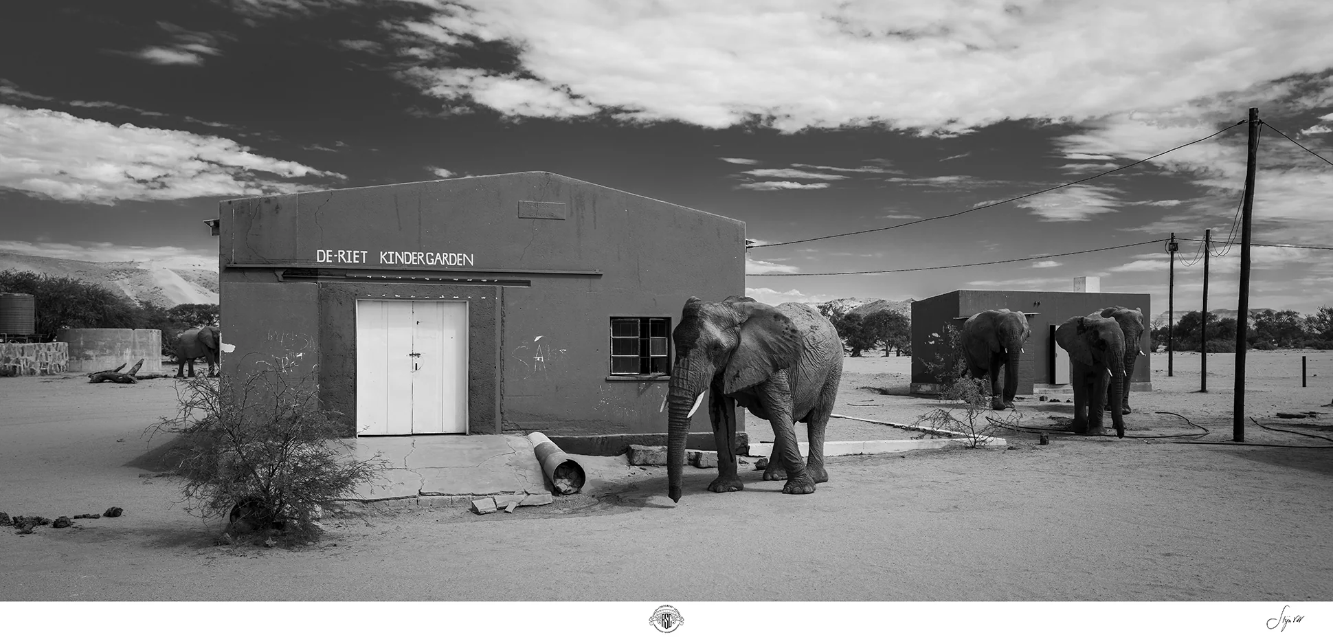 ASC Photo Gallery IX - 2024